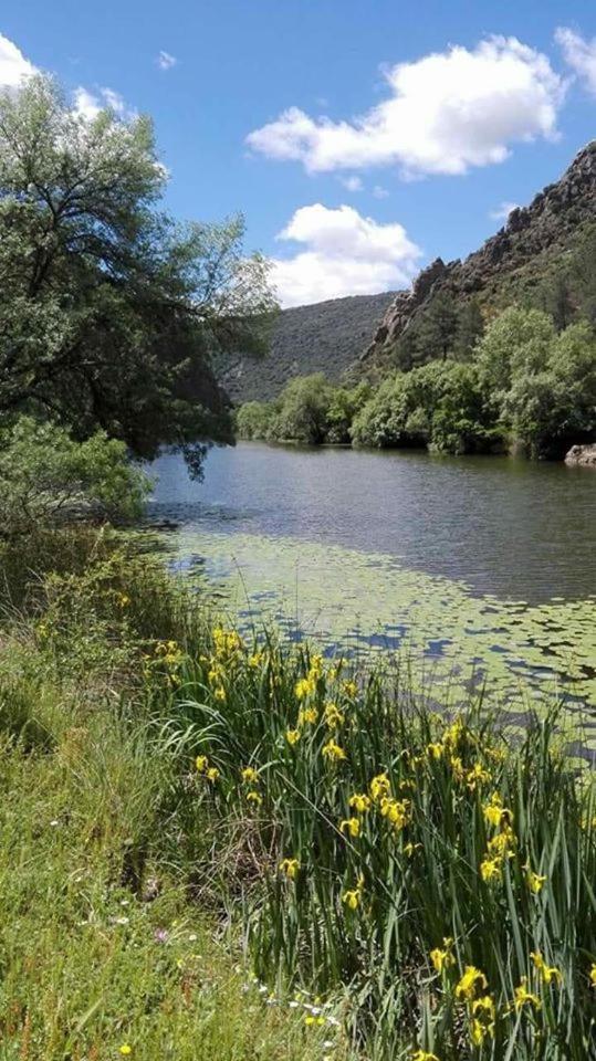 La Tia Nicolasa Puebla de Don Rodrigo Exteriér fotografie